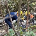 В Казани пожилого мужчину с деменцией спасли из лесного оврага спустя сутки поисков — видео