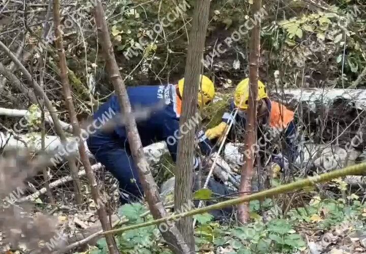 В Казани пожилого мужчину с деменцией спасли из лесного оврага спустя сутки поисков — видео