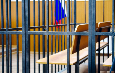 Полина Диброва потребовала взыскать с Елены Товстик 5 млн рублей