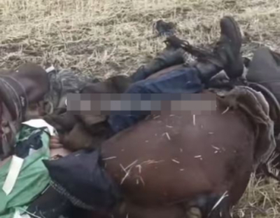Молния убила всадника, лошадь и собаку в области Жетысу