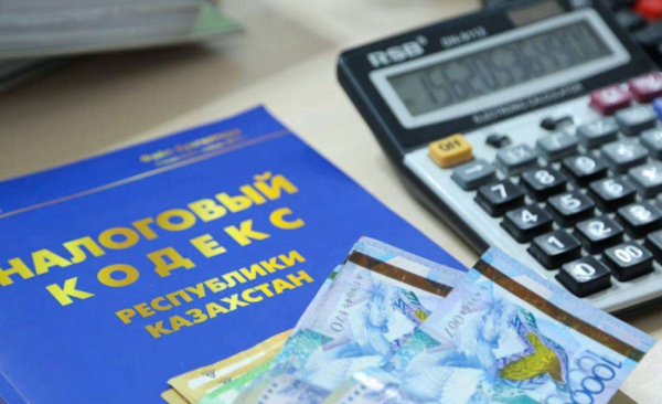 Цифровизация и прозрачность: Казахстан обновляет налоговую систему