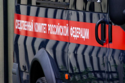 Тело вмерзло в лед: что нового известно об убийстве мальчика в Петербурге