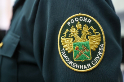 В Домодедово задержали пассажира с тремя килограммами метеорита