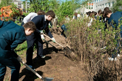 В Московском районе Казани школьники и сотрудники СИБУРа высадили аллею сирени